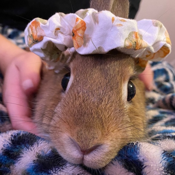 Handmade tiny pumpkin 🎃 scrunchie!! - Picture 5 of 5
